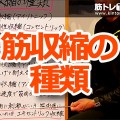 筋収縮の種類と筋肉痛